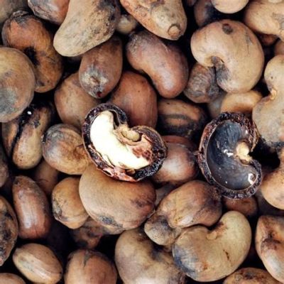 Cashew Nut Shell Liquid: Unveiling a Sustainable Biopolymer Marvel for Textile Applications!