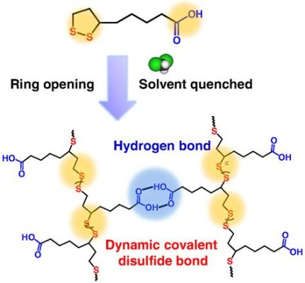  Octanol Como Coadjutor na Síntese de Poliméricos e Solvente Universal!