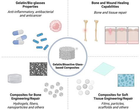 Gelatin: Um Material Versátil para Aplicações Biomédicas inovadoras e Engenharia de Tecidos